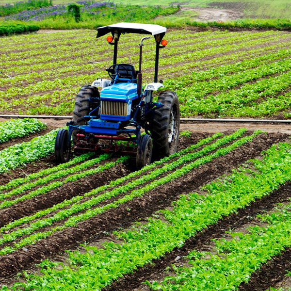 Agriculture